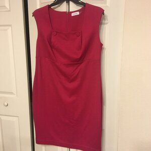 Calvin Klein Magenta Dress